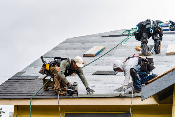 Professional Gutter Installation technician working in Brussels, WI